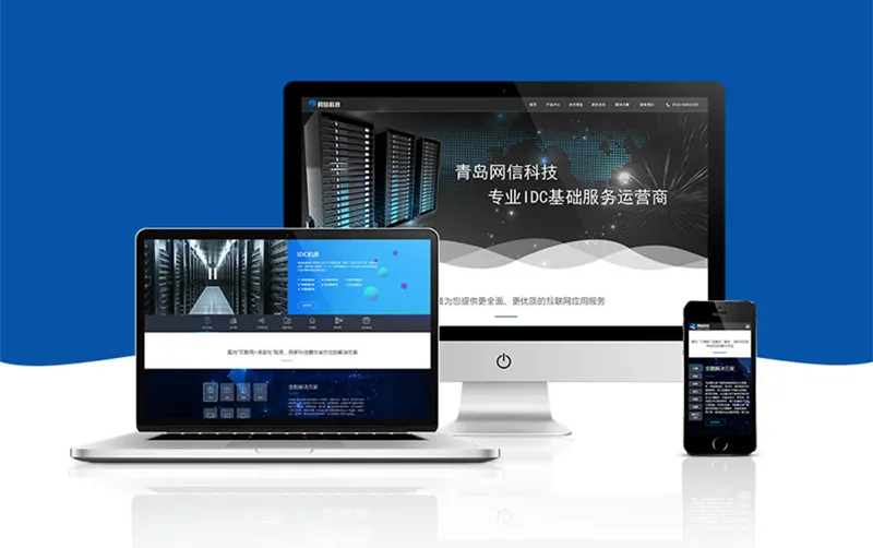 网信科技网站建设